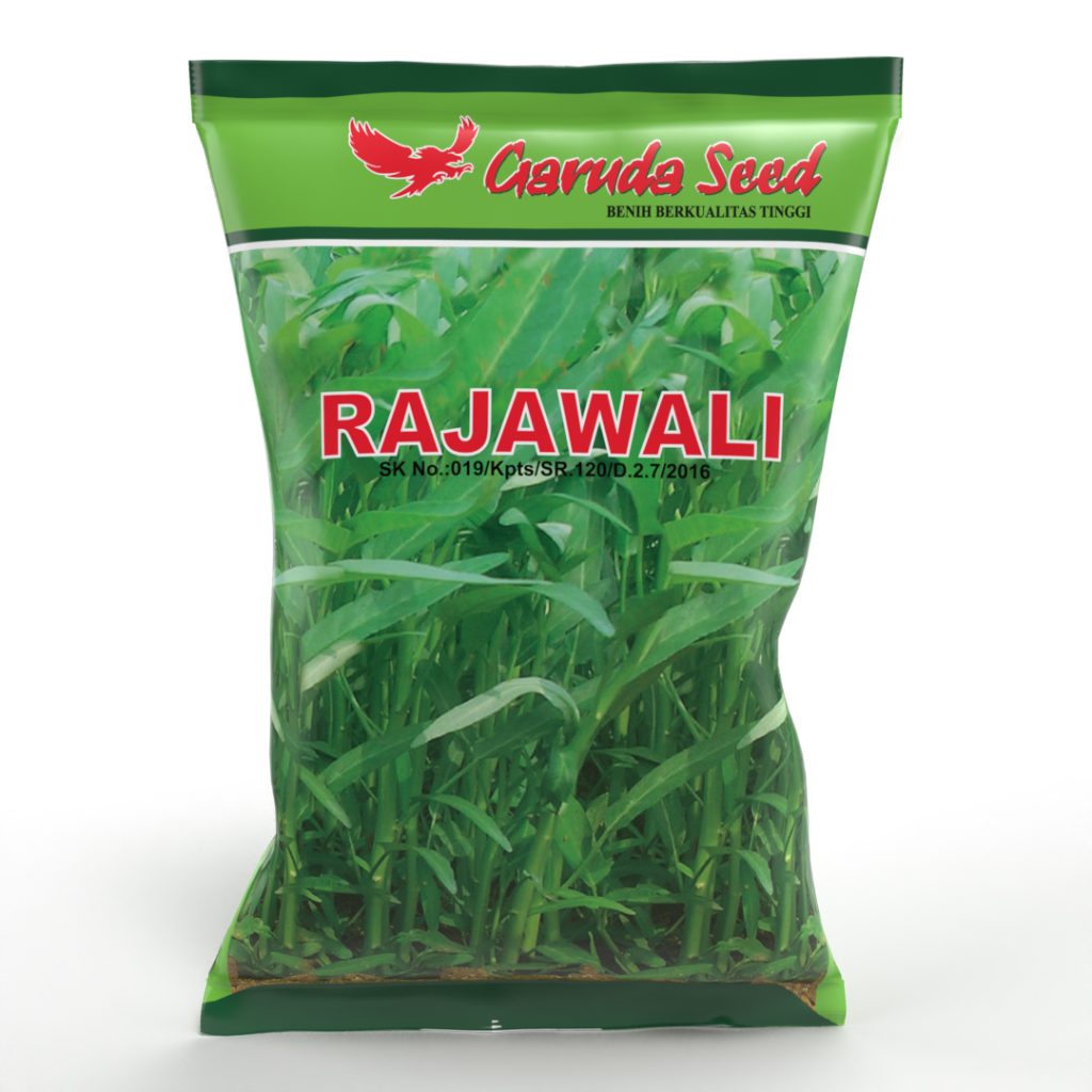 Benih Kangkung Rajawali 1 Kg
