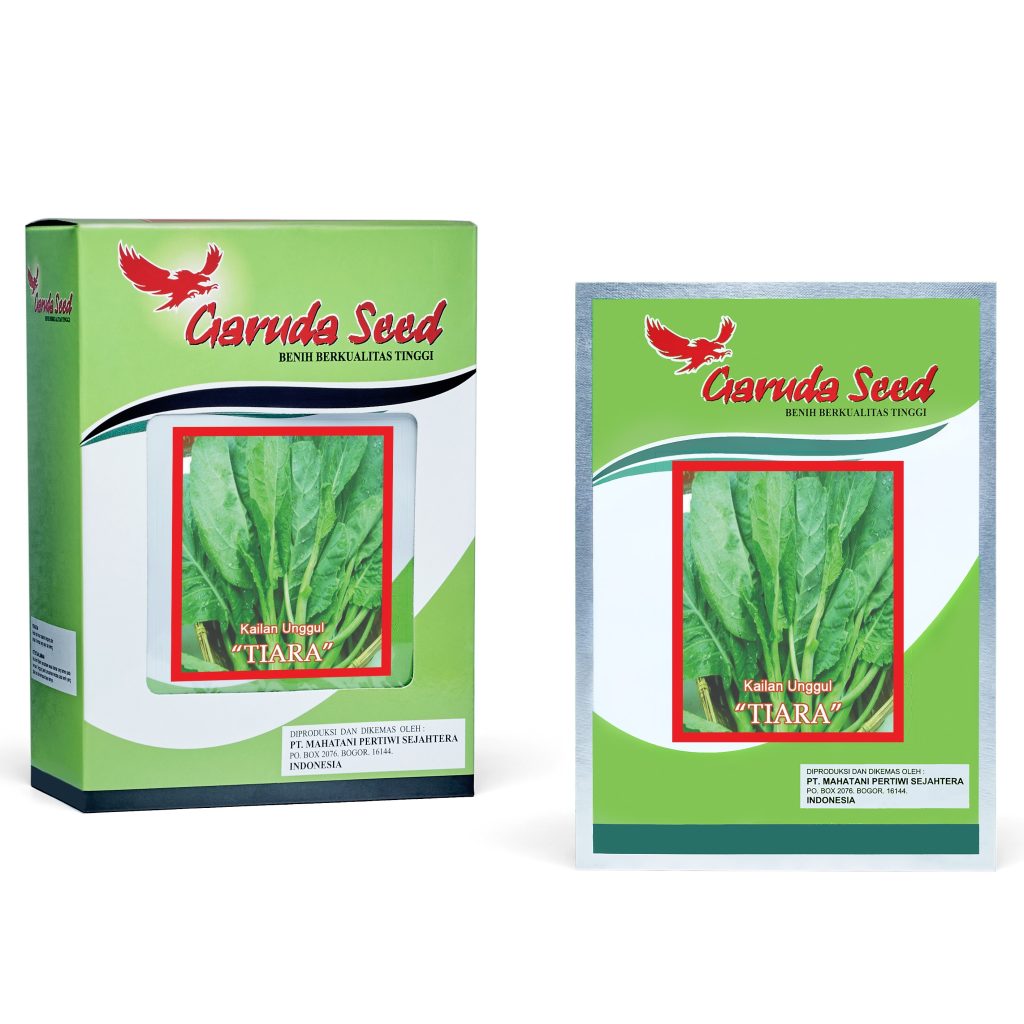 Benih Kailan Tiara Garuda Seed