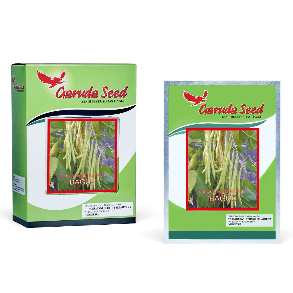 Benih Buncis "Baguz" Garuda Seed