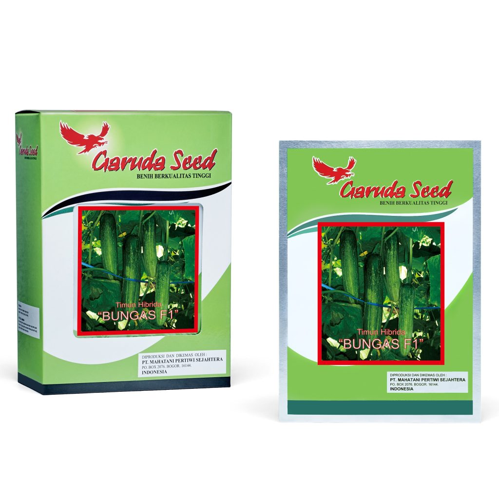 Benih Timun Hijau F1 Bungas Garuda Seed
