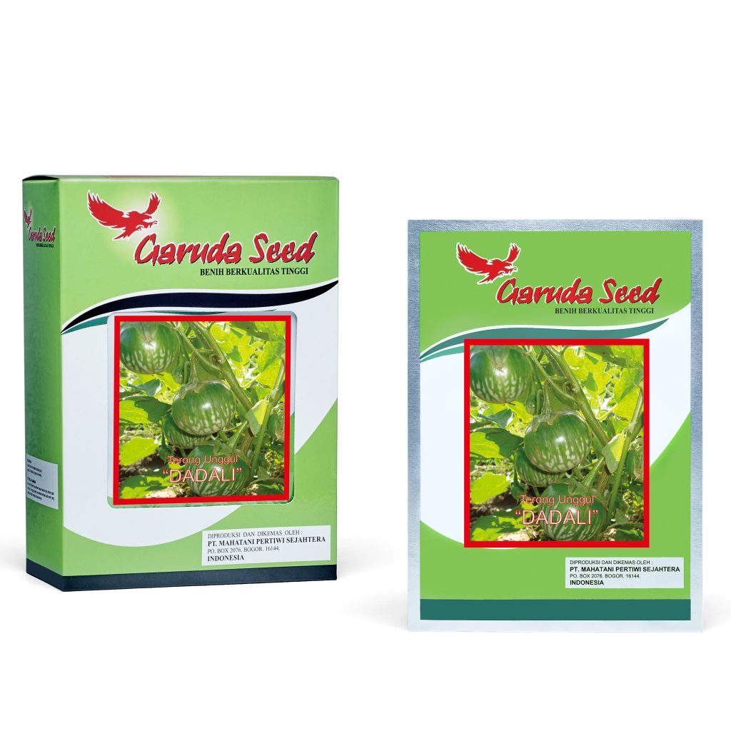 Benih Terong Bulat Hijau Dadali Garuda Seed
