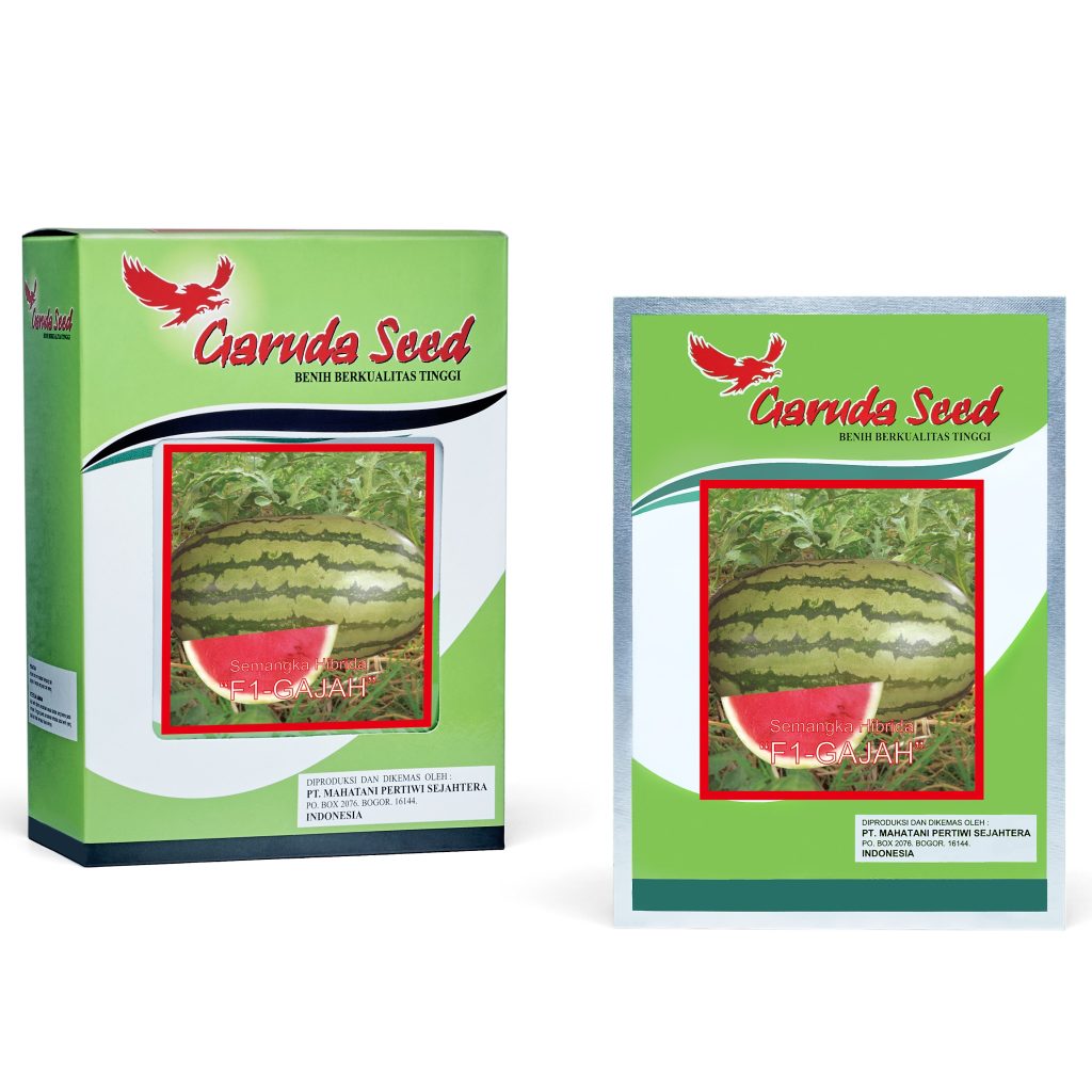 Benih Semangka Lonjong Loreng Gajah Garuda Seed