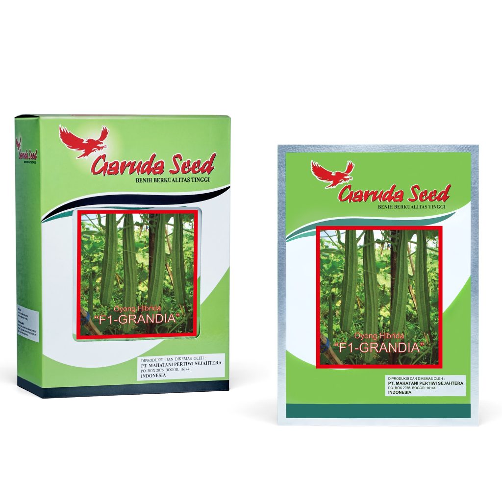 Benih Gambas Grandia Garuda Seed