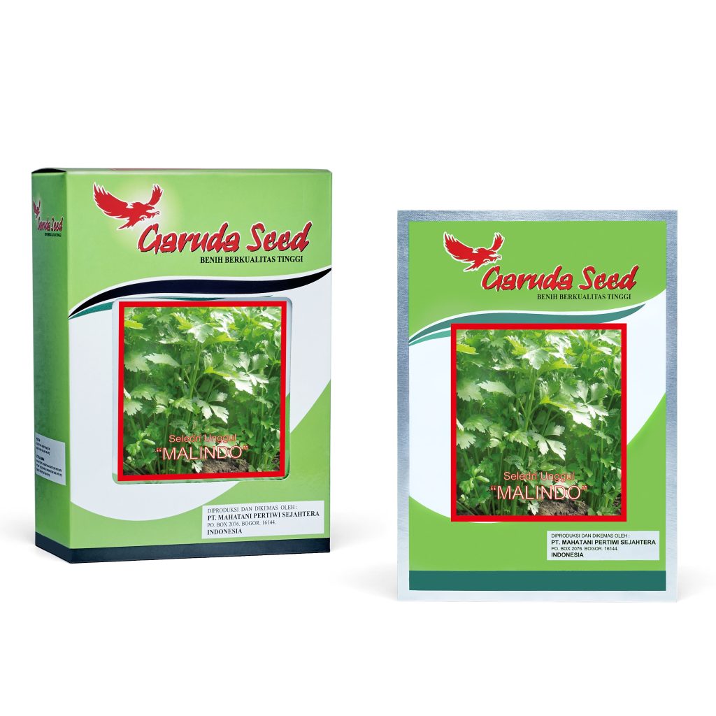 Benih Seledri Malindo Garuda Seed
