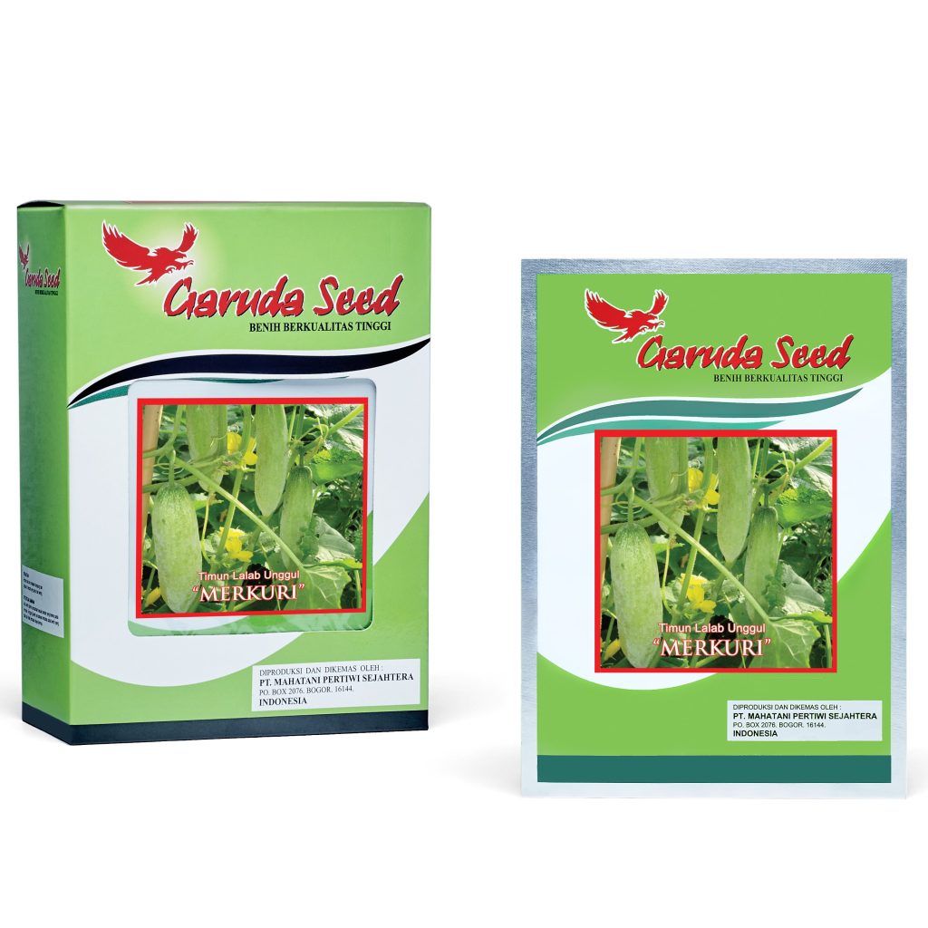 Benih Timun Lalab Mercury Garuda Seed