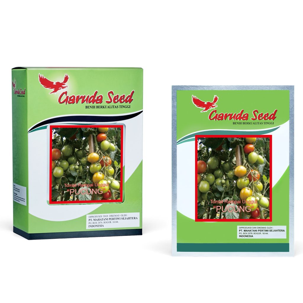 Benih Tomat Pucung Garuda Seed