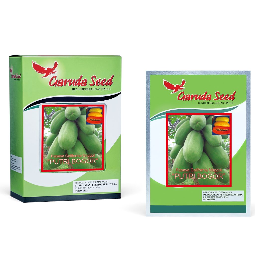 Benih Pepaya Putri Bogor Garuda Seed
