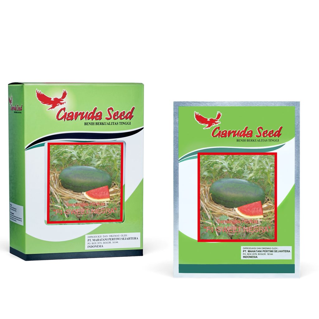 Benih Semangka Inul Merah Sweet Negra Garuda Seed