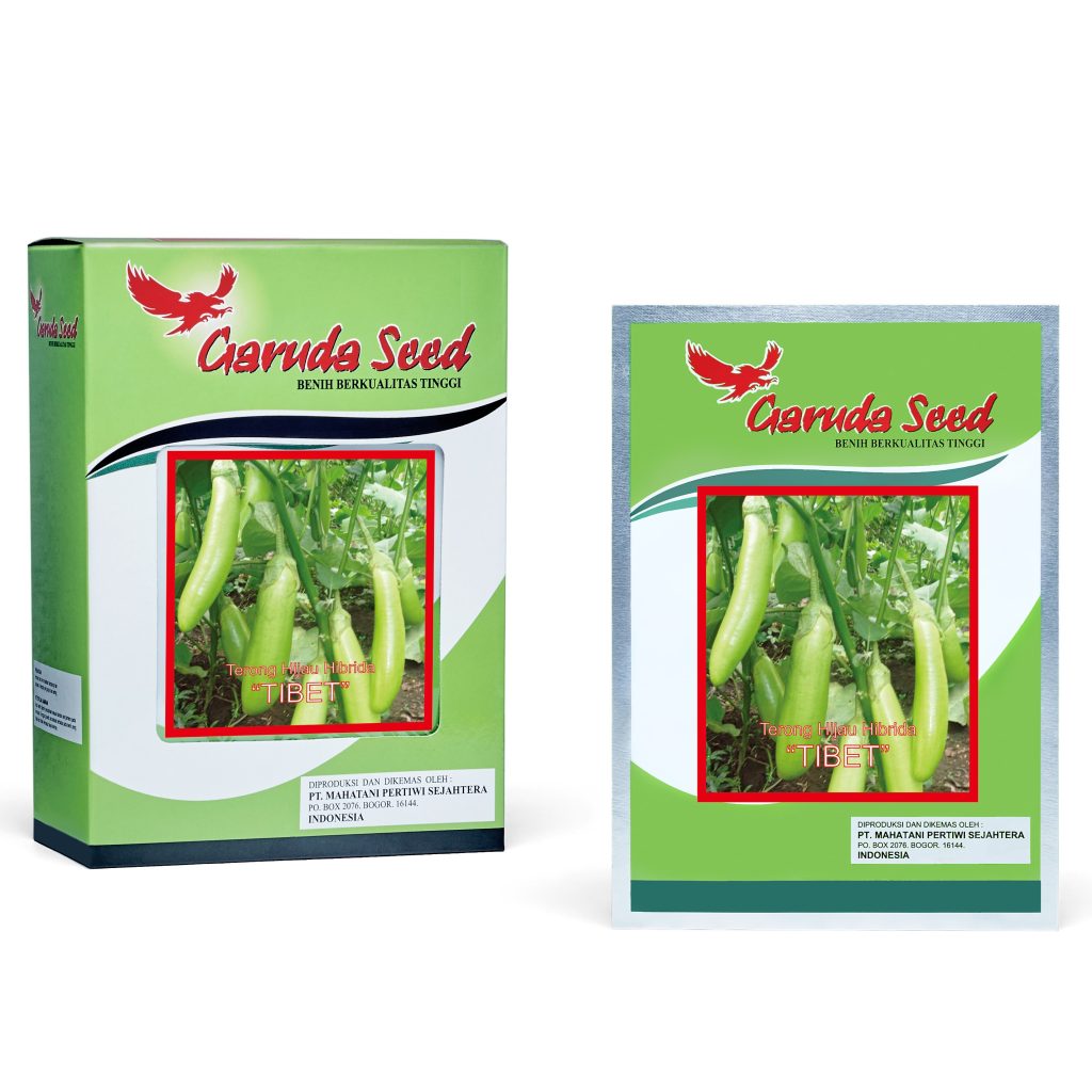 Benih Terong Hijau F1 Tibet Garuda Seed