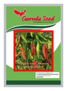 Benih Cabe Hijau Merunduk Andalan 314 Garuda Seed