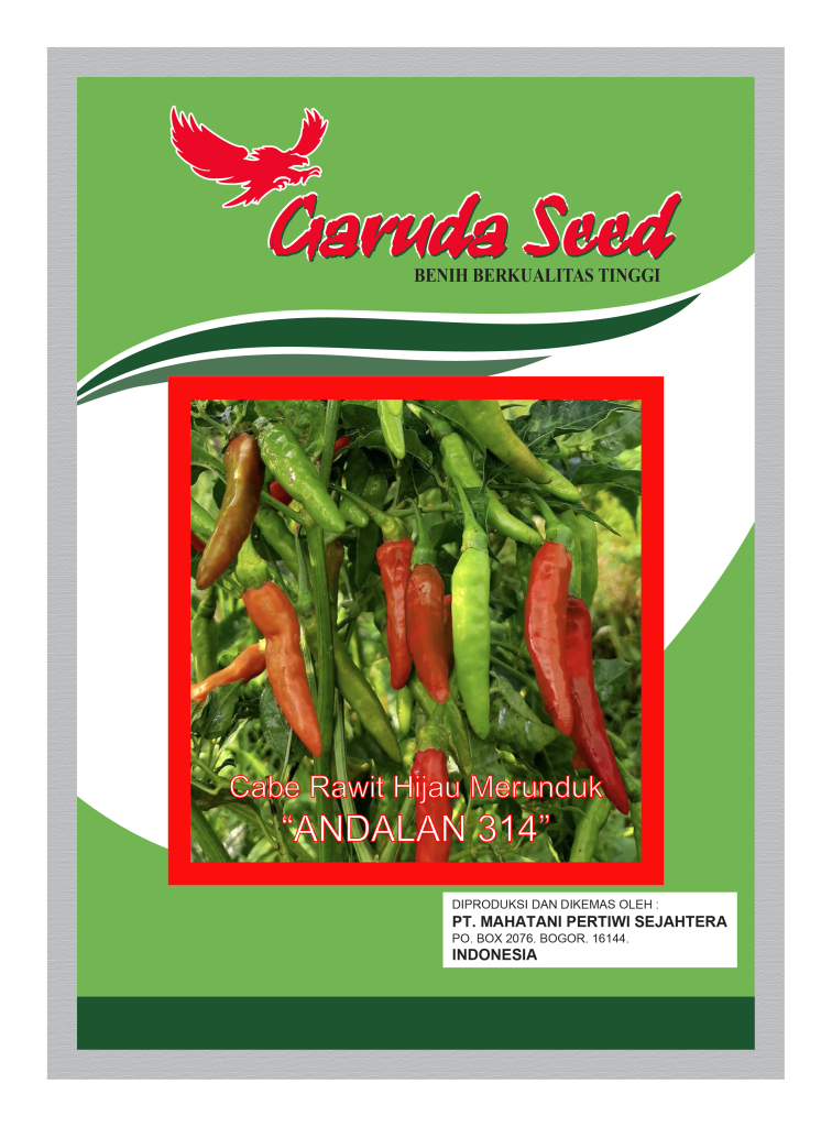 Benih Cabe Hijau Merunduk Andalan 314 Garuda Seed