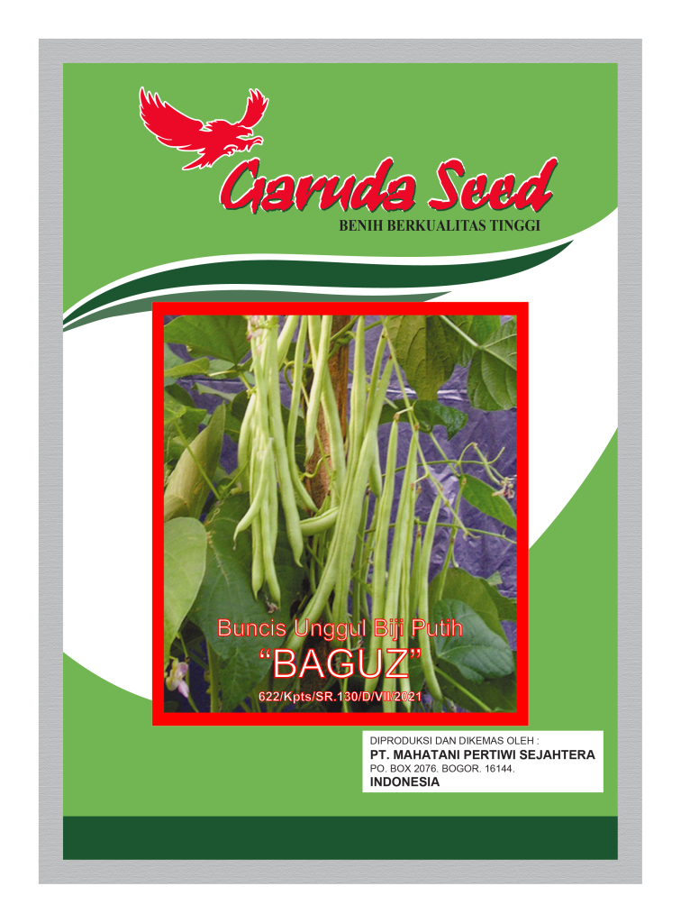 Benih Buncis Putih Baguz Garuda Seed