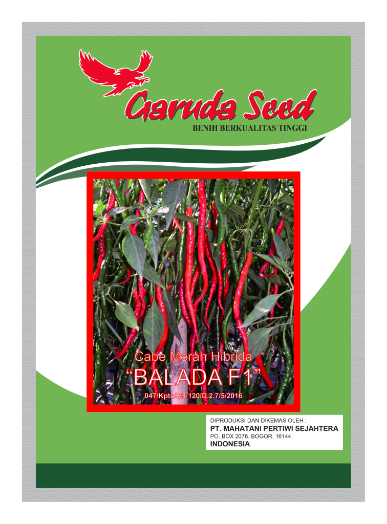 Benih Cabe Keriting Hibrida Balada Garuda Seed
