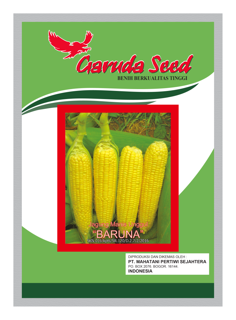 Benih Jagung Manis Baruna Garuda Seed