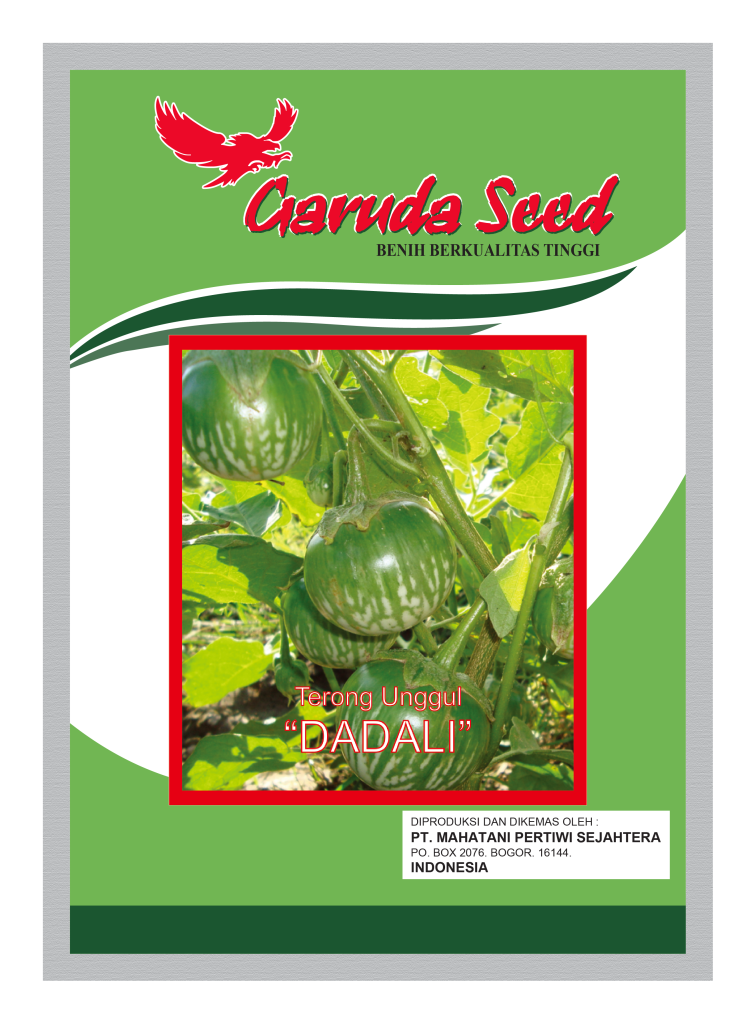 Benih Terong Hijau Bulat Dadali Garuda Seed