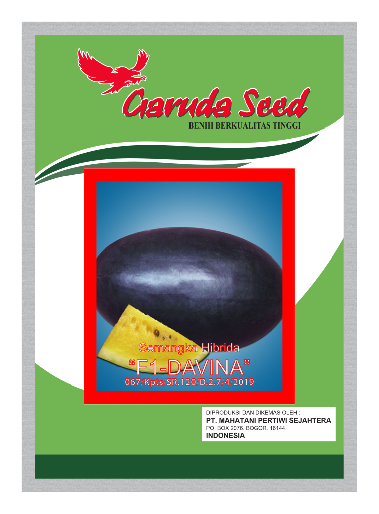 Benih Semangka Inul Kuning Davina Garuda Seed