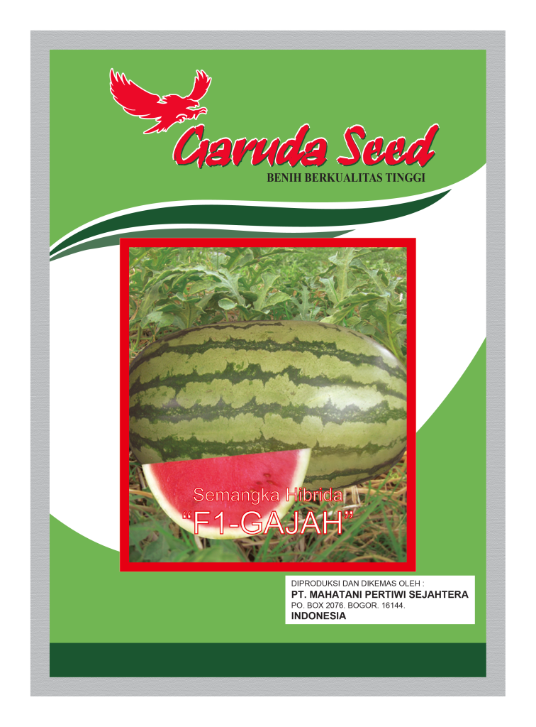 Benih Semangka Lonjong Loreng Gajah Garuda Seed