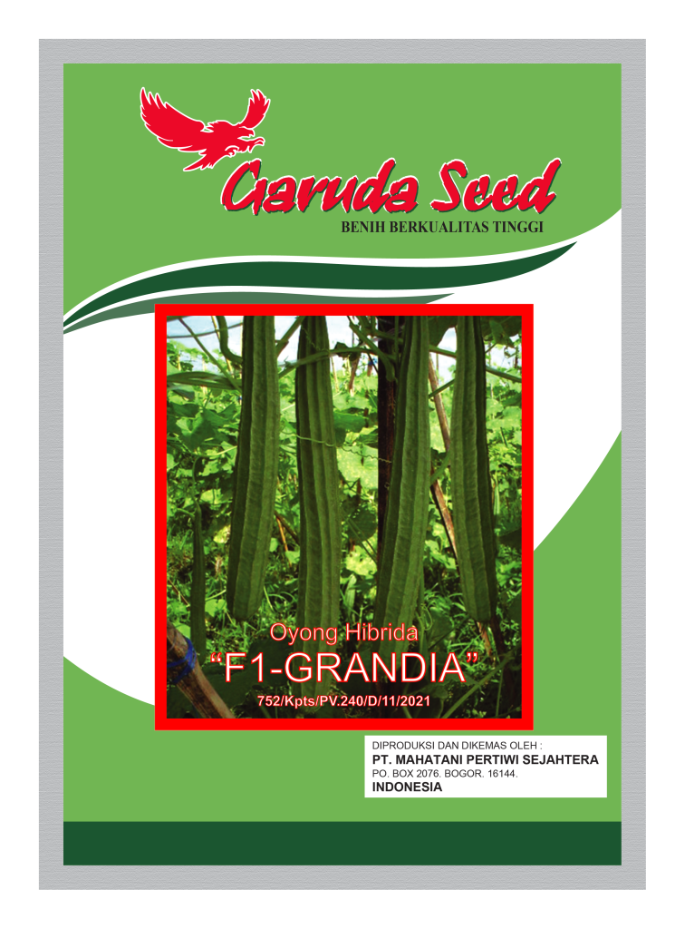 Benih Gambas Oyong Garuda Seed
