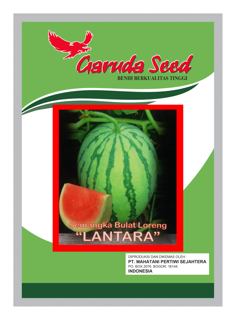 Benih Semangka Bulat Loreng Lantara Garuda Seed
