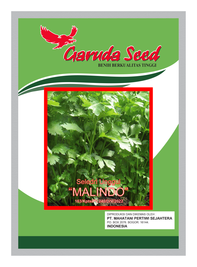 Benih Seledri Malindo Garuda Seed
