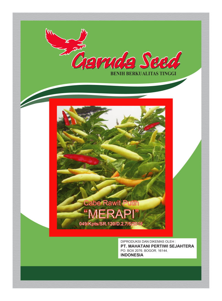 Benih Cabe Rawit Putih Merapi Garuda Seed
