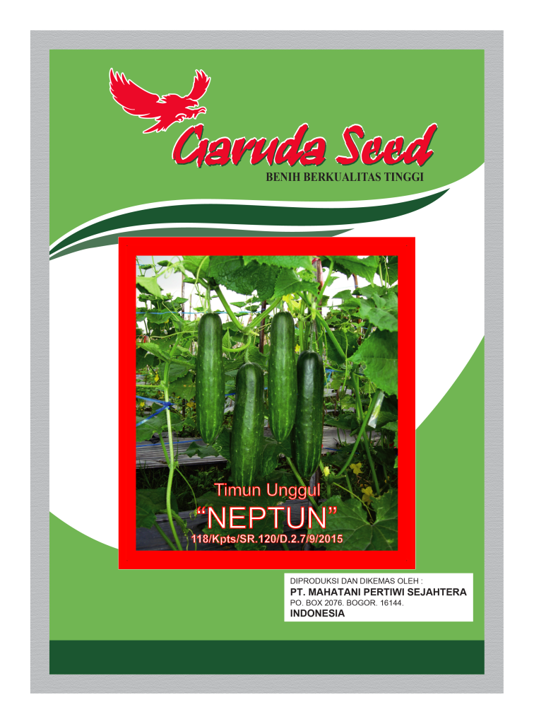 Benih Timun Hijau Neptun Garuda Seed