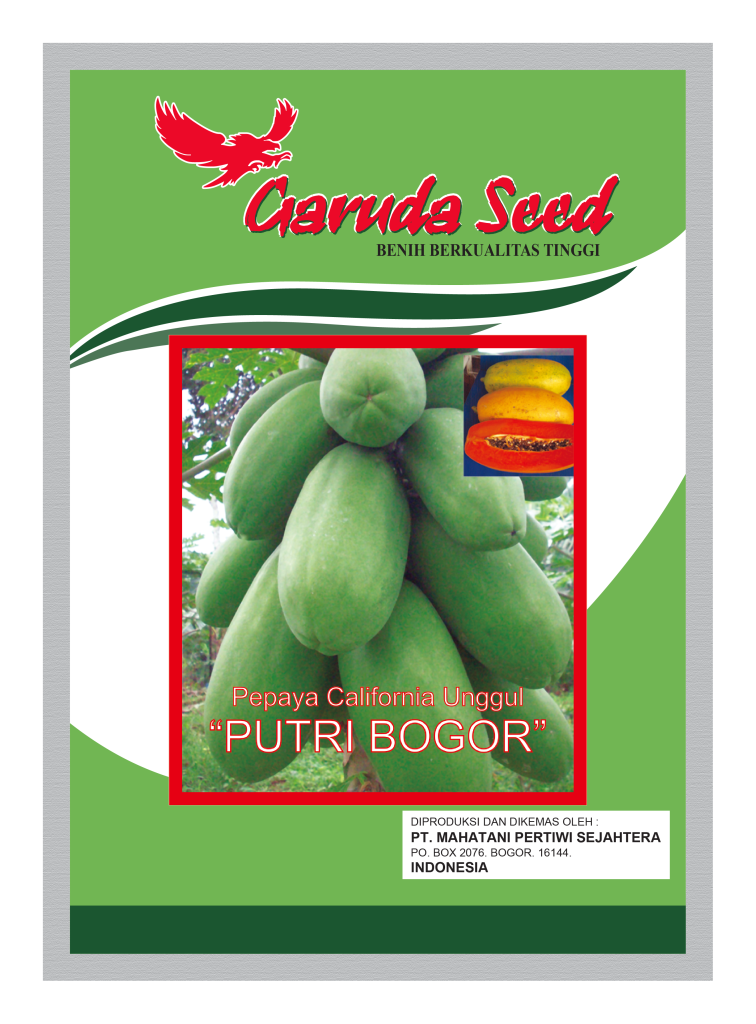 Benih Pepaya California Putri Bogor Garuda Seed