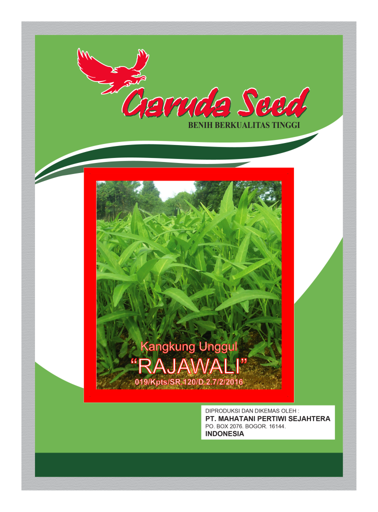 Benih Kangkung Rajawali Garuda Seed