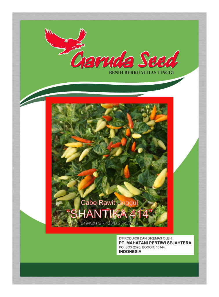 Benih Cabe Rawit Unggul Shantika 414 Garuda Seed
