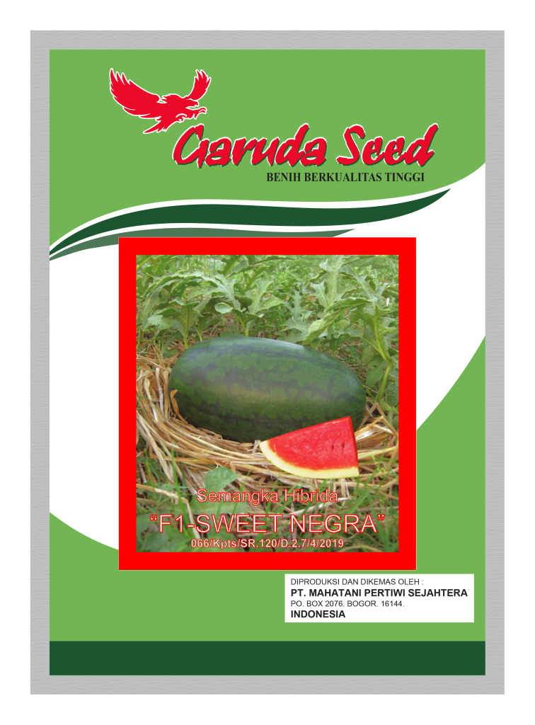 Benih Semangka Inul Merah Sweet Negra Garuda Seed
