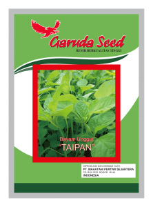 Benih Bayam Hijau Taipan Garuda Seed
