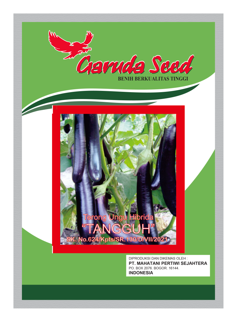 Benih Terong Ungu Tangguh Garuda Seed