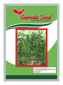 Benih Kacang Panjang Thora Garuda Seed
