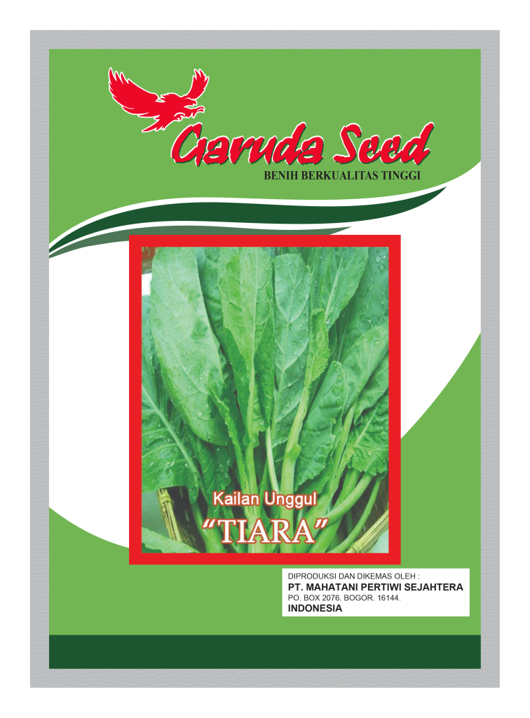 Benih Kailan Tiara Garuda Seed