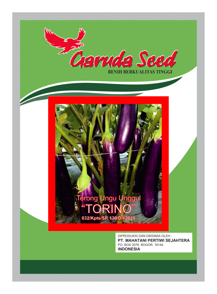 Benih Terong Ungu Torino Garuda Seed