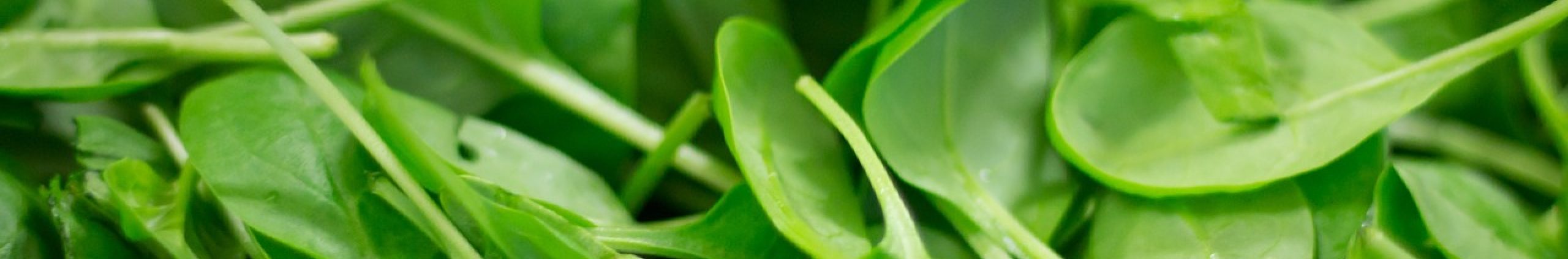spinach, plant, nourishment-2216967.jpg